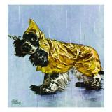 "Butch in Raingear," April 2, 1949 Giclee Print by Albert Staehle