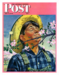 "Apple Blossoms," Saturday Evening Post Cover, May 6, 1944 Giclee Print by Howard Scott