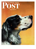 "Gordon Setter," Saturday Evening Post Cover, October 17, 1942 Giclee Print by W.W. Calvert