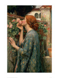 The Soul of the Rose reproduction procédé giclée par John William Waterhouse