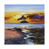 Ailsa Craig Rajoitettu erä tekijänä Davy Brown Ailsa Craig Rajoitettu erä tekijänä Davy Brown