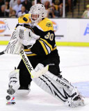 Boston Bruins - Tim Thomas Photo