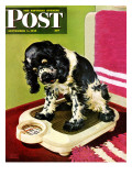 "Butch Weighs In," Saturday Evening Post Cover, September 1, 1945 Reproduction procédé giclée par Albert Staehle