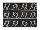 Phases in a Boxing Match Giclée-tryk af Eadweard Muybridge Phases in a Boxing Match Giclée-tryk af Eadweard Muybridge