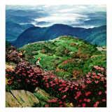 "Appalachian Rhododendrons," May 27, 1961 Giclee Print by John Clymer