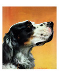 "Gordon Setter," October 17, 1942 Giclee Print by W.W. Calvert
