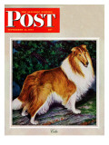 "Collie," Saturday Evening Post Cover, September 11, 1943 Giclee Print by Rutherford Boyd