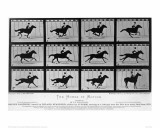 Movements of a Galloping Horse Giclee Print by Eadweard Muybridge