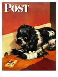 "Butch and Mousetrap," Saturday Evening Post Cover, June 8, 1946 Giclee Print by Albert Staehle
