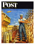 "Corn Harvest," Saturday Evening Post Cover, October 9, 1948 Giclee Print by Mead Schaeffer