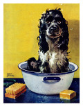 "Butch Gets a Bath," May 11, 1946 Reproduction procédé giclée par Albert Staehle