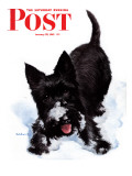 "Scotty in Snow," Saturday Evening Post Cover, January 30, 1943 Giclee Print by W.W. Calvert
