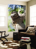 Sloth Living in Parque Centenario Wall Mural by Margie Politzer