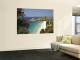 Pohutukawa Tree in Bloom and Hahei, Coromandel Peninsula, North Island, New Zealand Wall Mural by David Wall