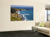 Big Sur Coastline in California, USA Wall Mural by Chuck Haney