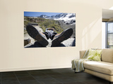Climbing Guide Resting at Refugio Chabot Wall Mural by Andrew Peacock