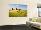 Tuscan Villa Nearing Harvest, Tuscany, Italy Wandgemälde von Terry Eggers