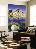 Barker Dam, Joshua Tree National Park, California, USA Wall Mural by Rob Tilley