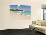 Popular Moorings For Bareboaters and Charter Sail, White Bay, Jost Van Dyke, Bvi Reproduction murale géante par Trish Drury