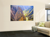 Black Canyon of the Gunnison National Park, Colorado, USA Wall Mural by Jamie & Judy Wild
