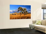 Landscape in Late Afternoon Light Wall Mural by Olivier Cirendini
