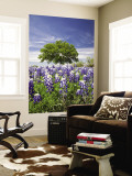 Texas Bluebonnets and Oak Tree, Texas, USA Wall Mural by Julie Eggers