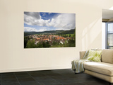 Rooftops of Town Wall Mural by Aldo Pavan