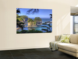 Seastacks, Makah Nation Tribal Lands, Cape Flattery, Washington, USA Wall Mural by Jamie & Judy Wild