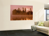 Sunrise on a Lake, Adirondack Park, New York, USA Mural por Jay O'brien