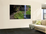 South Falls in Silver Falls State Park, Oregon, USA Wall Mural by Joe Restuccia III