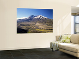 Mount St. Helens National Volcano Monument, Washington, USA Wall Mural by Bernard Friel