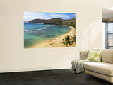 Hanauma Bay Nature Preserve Wall Mural by Ann Cecil