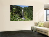 Akaka Falls State Park, Hawaii, USA Wall Mural by Douglas Peebles
