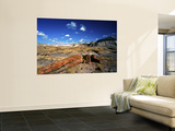 Long Petrified Log at Blue Mesa, Petrified Forest National Park, Arizona, USA Reproduction murale géante par Bernard Friel