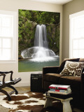 Waiau Waterfall Near 309 Road, Coromandel Peninsula, North Island, New Zealand Wall Mural by David Wall