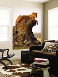 Lioness (Panthera Leo) Watching Surroundings from Termite Mound Wall Mural by Andrew Parkinson
