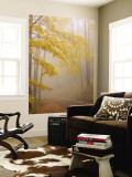 Fog and Autumn Foliage, Great Smoky Mountains National Park, North Carolina, USA Wall Mural by Joanne Wells