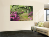 Oak Trees Above Azaleas in Bloom, Magnolia Plantation, Near Charleston, South Carolina, USA Wandgemälde von Adam Jones