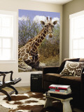 Giraffe Lying Down, Loisaba Wilderness, Laikipia Plateau, Kenya Wall Mural by Alison Jones