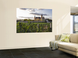 Chateau Changyu Afip Global Winery, Ju Gezhuang Town, China Mural por Janis Miglavs