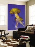 Jellyfish in Monterey Bay Aquarium Mural por Douglas Steakley Jellyfish in Monterey Bay Aquarium Mural por Douglas Steakley