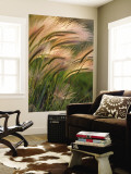 Foxtail Barley Backilt Near East Glacier, Montana, USA Wall Mural by Chuck Haney
