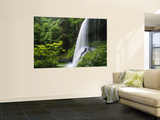 Middle North Falls, Silver Falls State Park, Oregon, USA Reproduction murale géante par Adam Jones