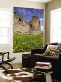 Vastseliina Castle Ruins, 14th Century, Vana-Vastseliina, Estonia Wall Mural by Walter Bibikow