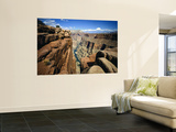 Toroweap Overlook a Panorama of the Canyon From Rim To River, Grand Canyon National Park, AZ Mural por Bernard Friel