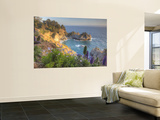 Mcway Falls at Julia Pfieffer Burns State Park Near Big Sur, California, USA Wall Mural by Chuck Haney