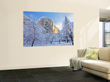 Sunrise Light Hits El Capitan Through Snowy Trees in Yosemite National Park, California, USA Reproduction murale géante par Chuck Haney