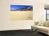 Racetrack and the Grandstand, Cottonwood Mountains, Death Valley National Park, CA Wall Mural by Bernard Friel