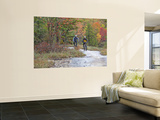 Mountain Bikers on the Slickrock of Dupont State Forest in North Carolina, USA Wall Mural by Chuck Haney
