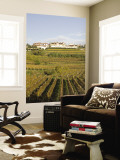 Vineyards in Goriska Brdy Wine Region Mural por Richard Nebesky Vineyards in Goriska Brdy Wine Region Mural por Richard Nebesky